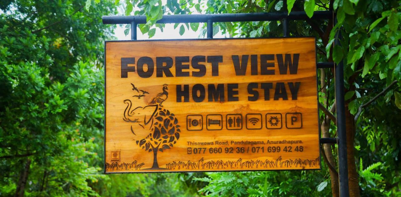 Forest View Home Stay Анурадхапура Екстер'єр фото